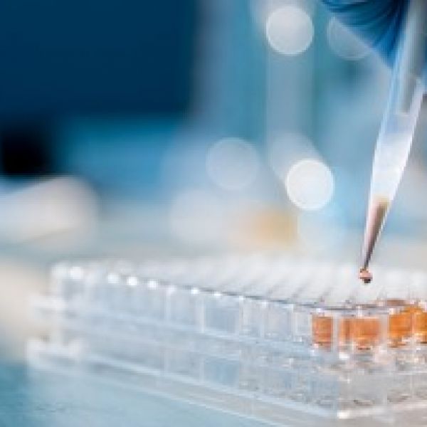 Pipette