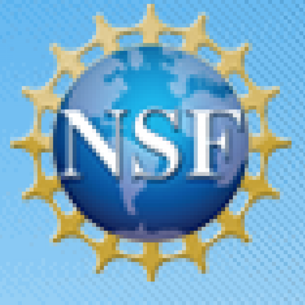 NSF logo