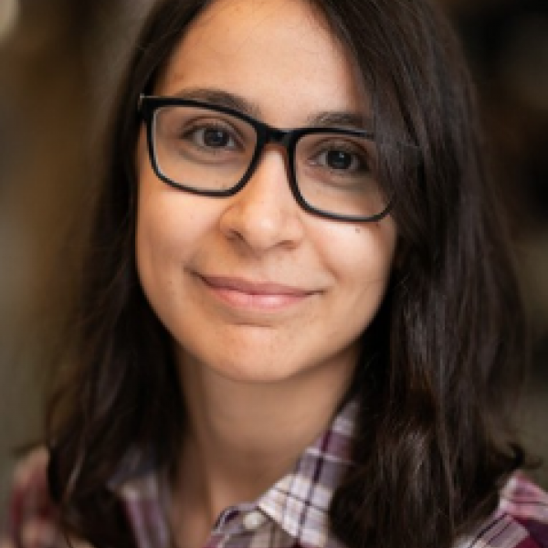Mina Tahmasbi Arashloo