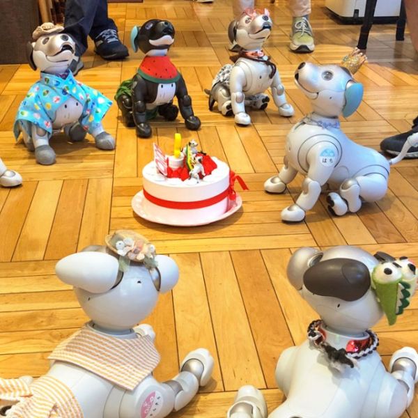 Provided Sony aibo ERS-1000 robots and their human owners celebrate a birthday for one of the robots last summer at Tokyo’s Penguin Café, which hosts weekly meet-ups for aibo owners.