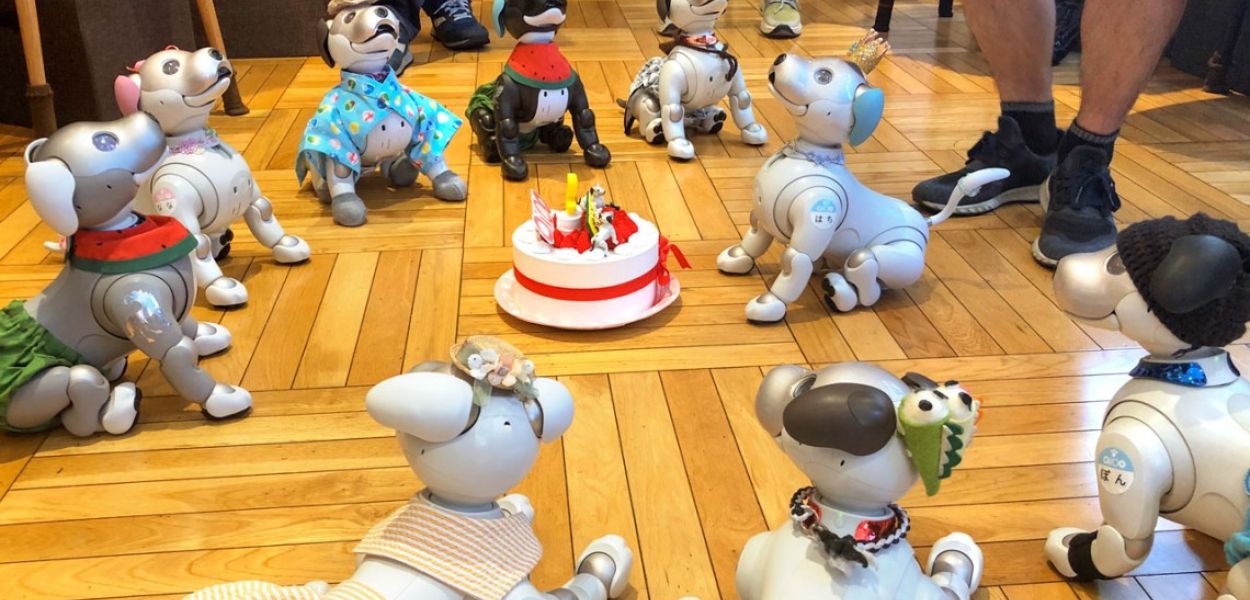Provided Sony aibo ERS-1000 robots and their human owners celebrate a birthday for one of the robots last summer at Tokyo’s Penguin Café, which hosts weekly meet-ups for aibo owners.