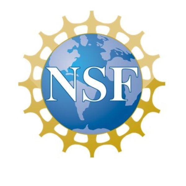 Nine professors win NSF early-career awards A color logo with the letters "NSF"